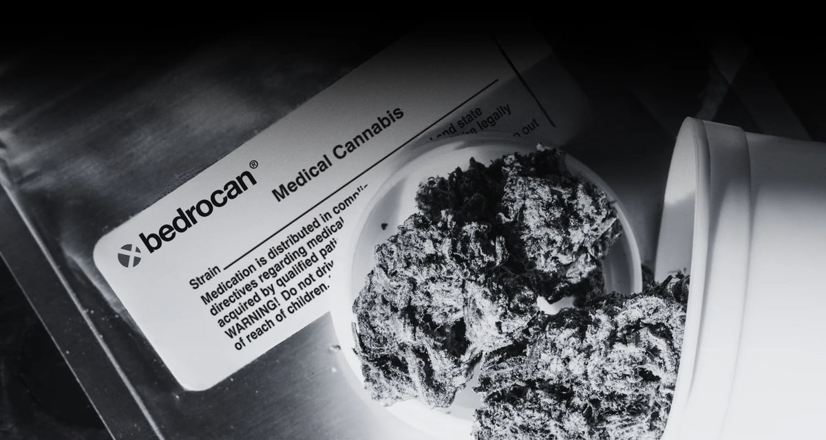 Veille marché CBD en Europe — Dutch Cannabis Patients Facing Month Supply Gap Many