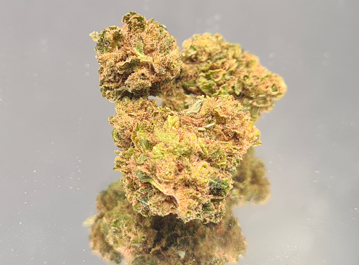 AMNESIA GLASS