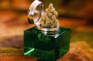 Qu’est-ce qui justifie le prix du CBD ?
