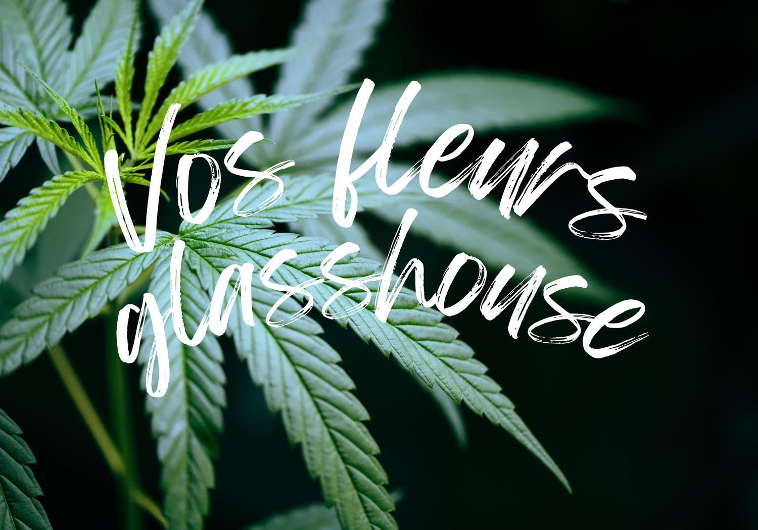 FLEURS GLASSHOUSE