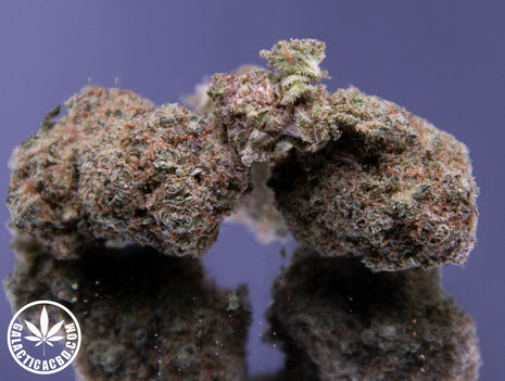 BANANA BERRY - INDOOR+ (10 GRAMMES)