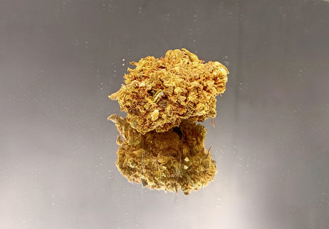 CANNATONIC - GREENHOUSE (10 GRAMMES)