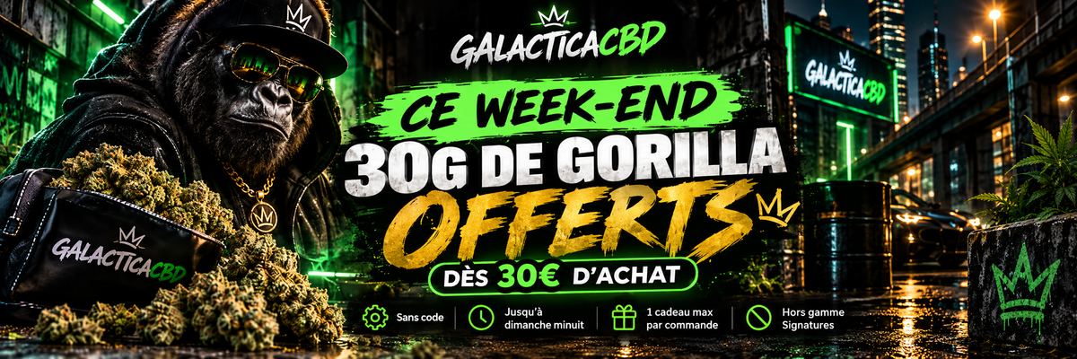 Bannière Promotion