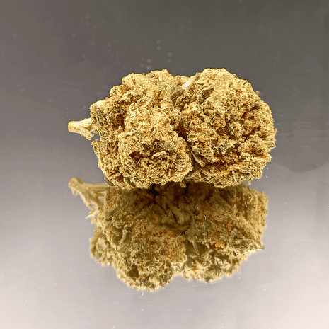 DON BELZE - INDOOR (10 GRAMMES)