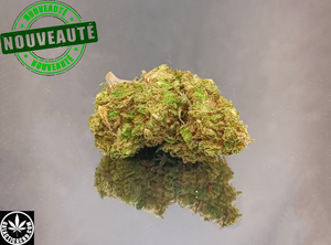 AMNESIA - GREENHOUSE (10 GRAMMES)