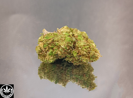 AMNESIA - GREENHOUSE (10 GRAMMES)