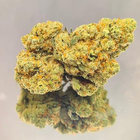 AMNESIA - INDOOR+ (10 GRAMMES)