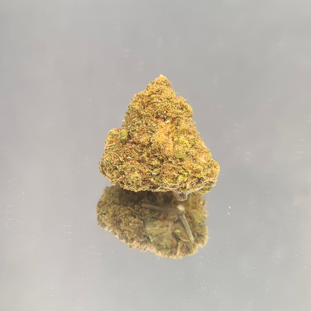 AMNESIA MIEL - INDOOR (10 GRAMMES)