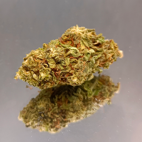 BLUEBERRY 40% - GREENHOUSE (10 GRAMMES)