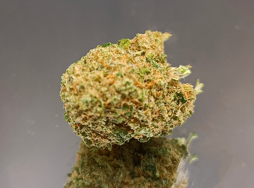 CANDY KUSH