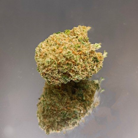 CANDY KUSH - INDOOR+ (10 GRAMMES)