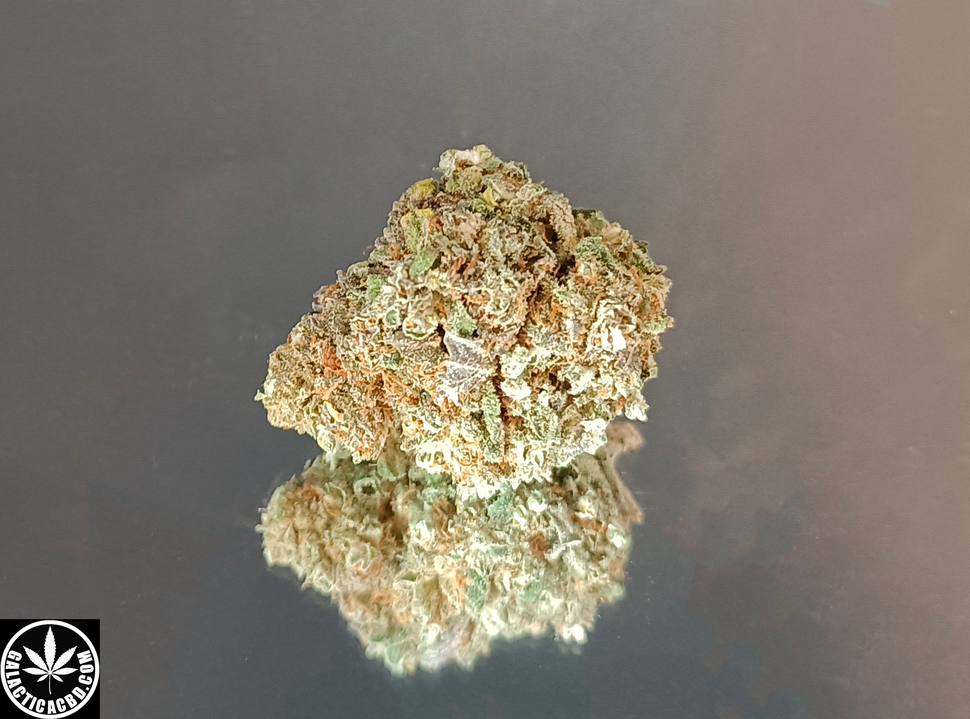 CHERRY PIE - INDOOR (10 GRAMMES)