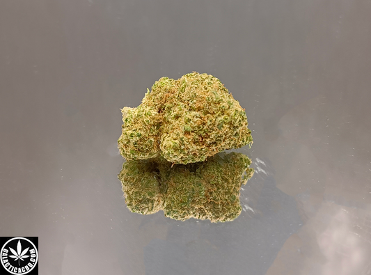 CRITICAL - INDOOR D'EXCEPTION (10 GRAMMES)