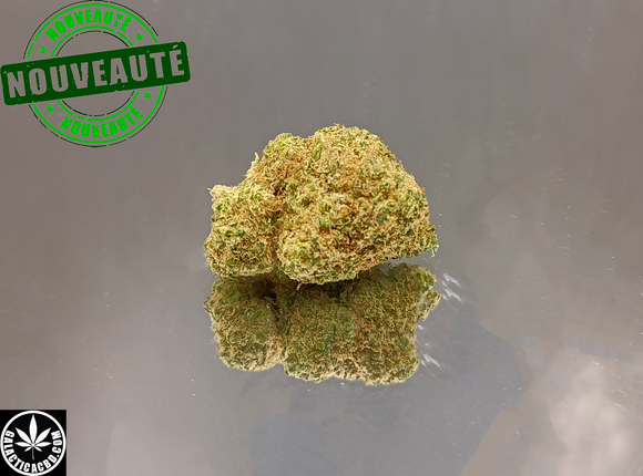 CRITICAL - INDOOR D'EXCEPTION (10 GRAMMES)