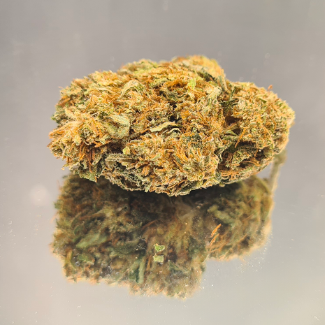 DIAMOND SMALL - GREENHOUSE