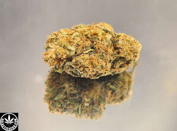 DIAMOND SMALL - GREENHOUSE