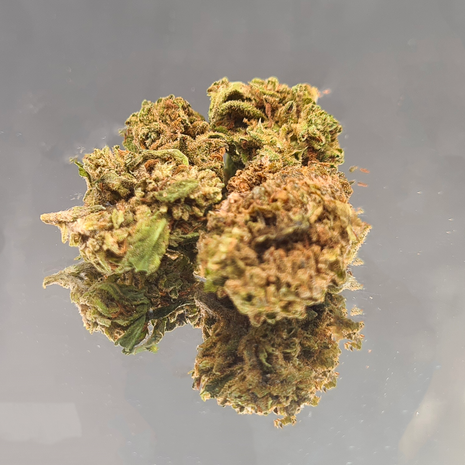 BERRY SMALL - GREENHOUSE (10 GRAMMES)