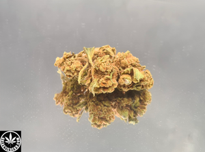 DREAM BERRY - GREENHOUSE (10 GRAMMES)