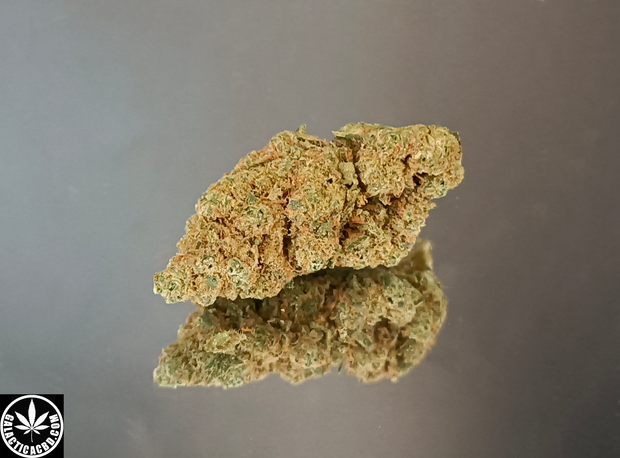 HARLEQUIN - INDOOR (10 GRAMMES)