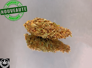 PURPLE 40 - GREENHOUSE (10 GRAMMES)