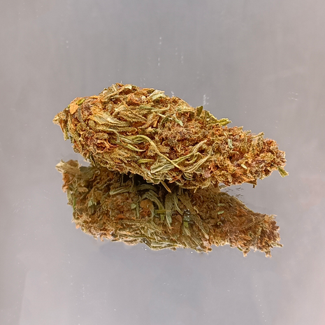PURPLE 40% - GREENHOUSE (10 GRAMMES)