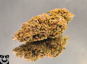 PURPLE - GREENHOUSE (10 GRAMMES)