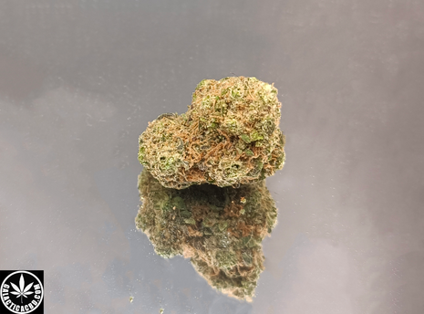RAINBOW - INDOOR+ (10 GRAMMES)