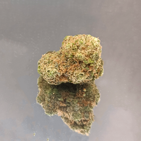 RAINBOW - INDOOR+ (10 GRAMMES)