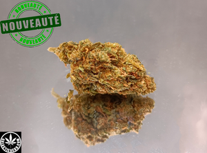 RED HEAD 40 - GREENHOUSE (10 GRAMMES)