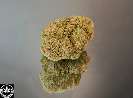 RUNTZ - INDOOR+ (10 GRAMMES)