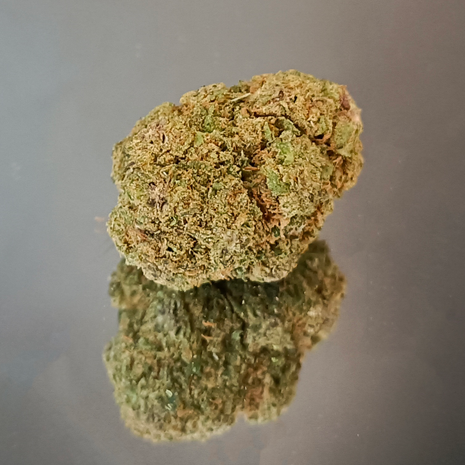 RUNTZ - INDOOR+ (10 GRAMMES)