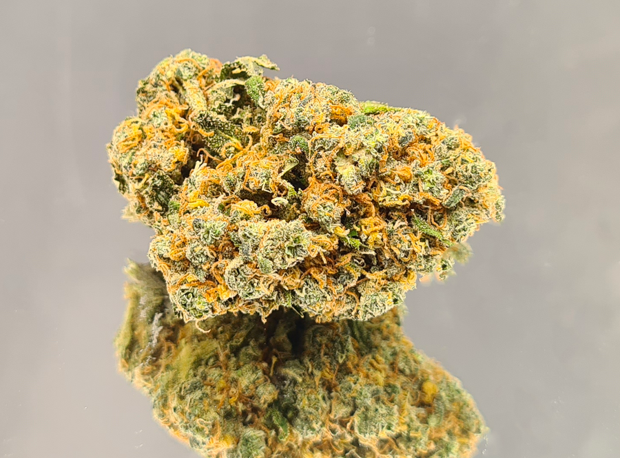 TROPICANA