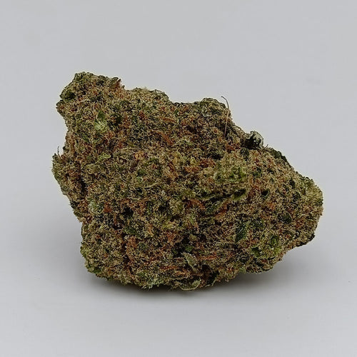 GELATO