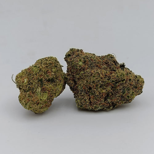 GELATO 60%