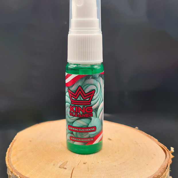 KLEANER CHEWING GUM MENTHE