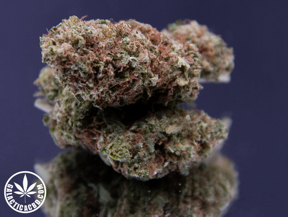 LEMON HAZE - INDOOR (10 GRAMMES)