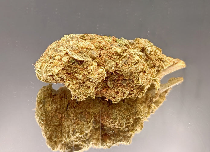 BON PLAN - LEMON SKITTLEZ