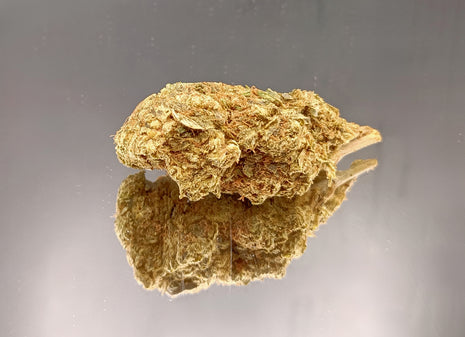 BON PLAN - LEMON SKITTLEZ GREENHOUSE (10 GRAMMES)