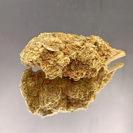 BON PLAN - LEMON SKITTLEZ GREENHOUSE (10 GRAMMES)