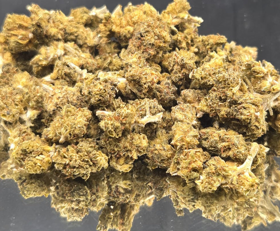 BON PLAN - LEMON GREENHOUSE (10 GRAMMES)