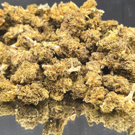 BON PLAN - LEMON GREENHOUSE (10 GRAMMES)