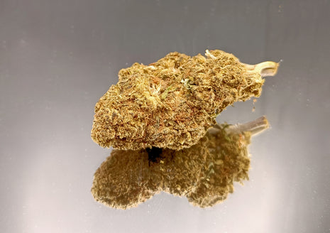 SOUR TANGIE - GREENHOUSE