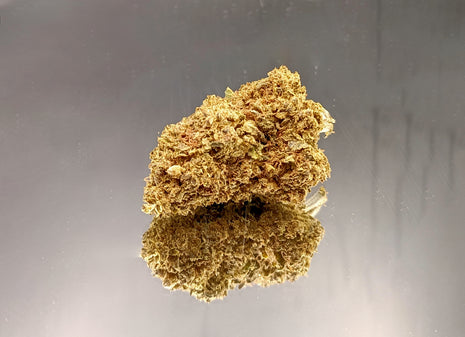 BON PLAN - TANGY CITRUS GREENHOUSE (10 GRAMMES)