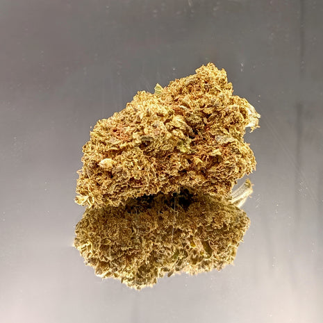 BON PLAN - TANGY CITRUS GREENHOUSE (10 GRAMMES)