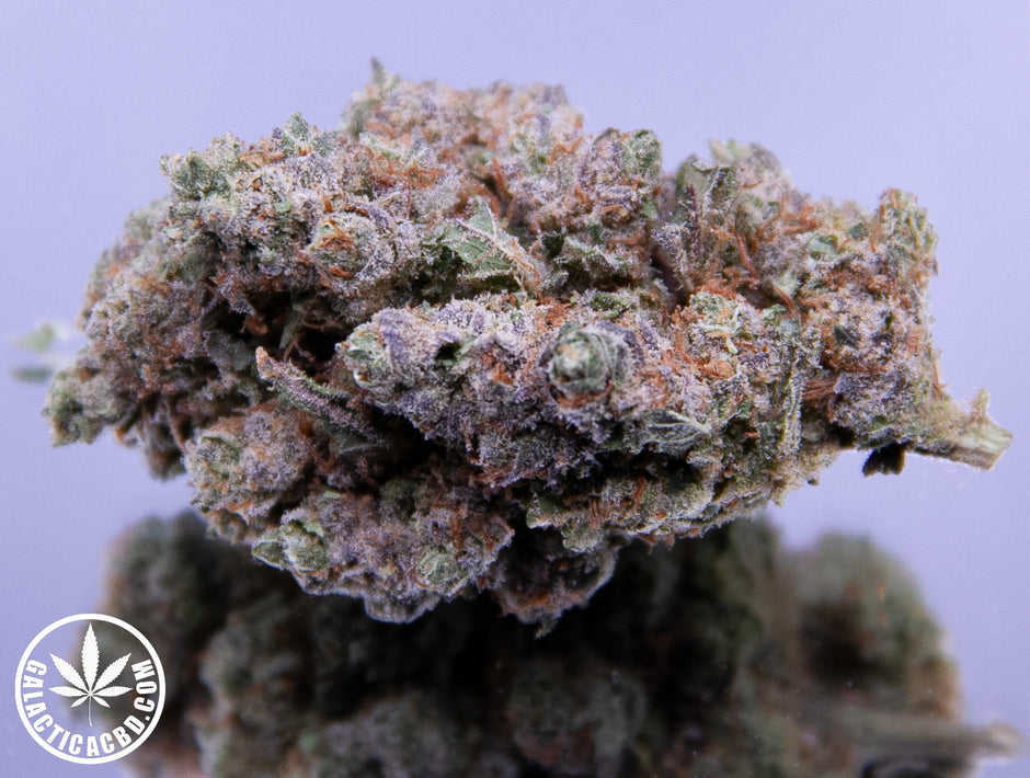 TCHERNOBYL - INDOOR+ (10 GRAMMES)