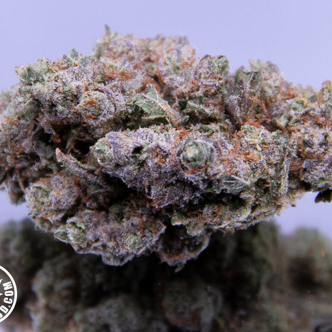 TCHERNOBYL - INDOOR+ (10 GRAMMES)