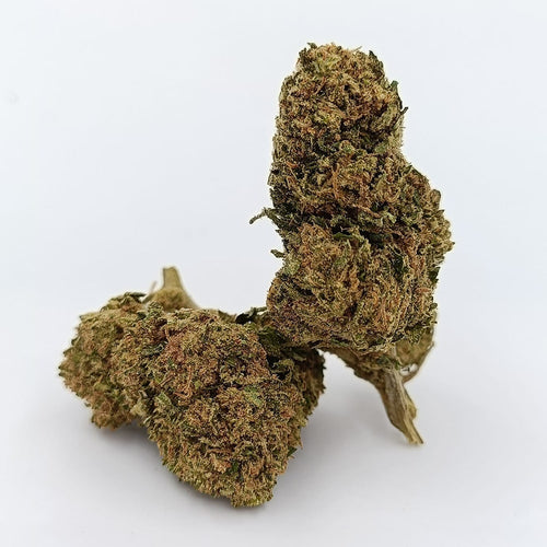 WHITE WIDOW