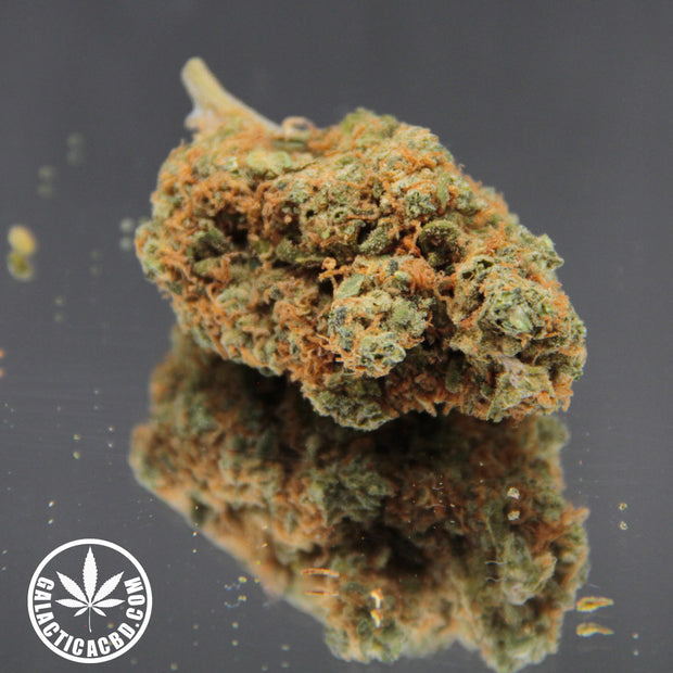 BLUEBERRY