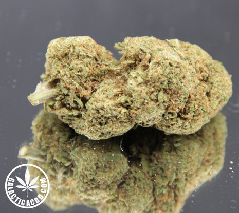 EARTHY BUD - INDOOR (10 GRAMMES)