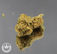 EL PROFESOR (10 GRAMMES)